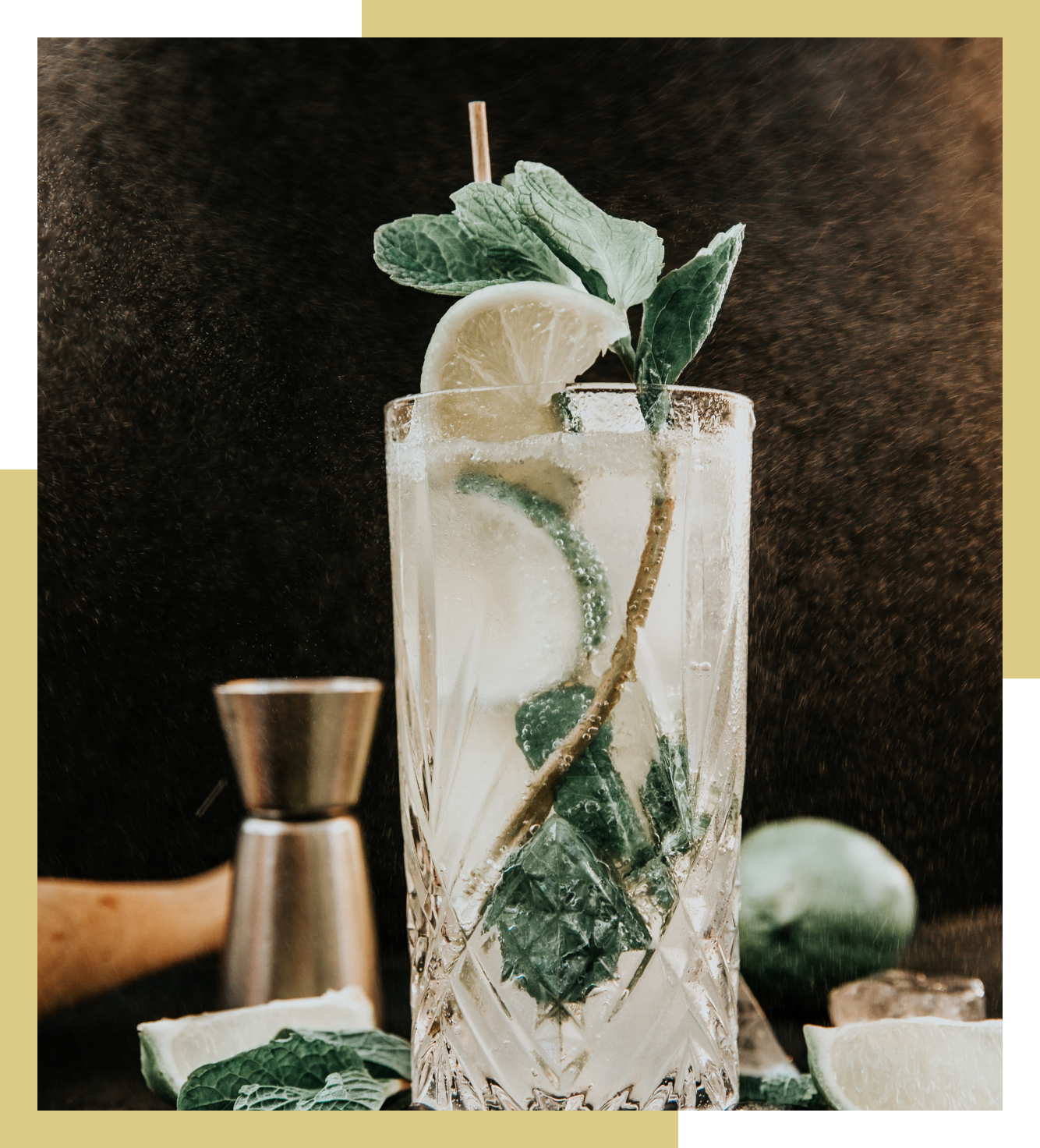 cocktail pic
